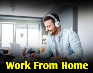 Work From Home, Earn 900 Rupees per hour, ಮನೇಲಿ ಕುಳಿತು ಹಣ ಗಳಿಸಿ, Work From Home Job kannada, WFH, Earning From Online my edu update kannada, 